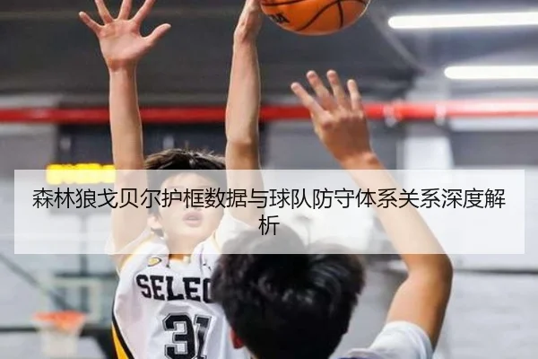 森林狼戈贝尔护框数据与球队防守体系关系深度解析